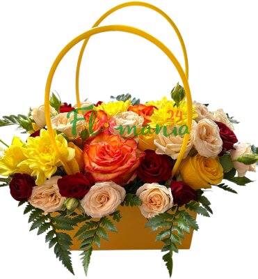 Birkin цвета осень